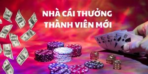Khuyễn mãi 6FF